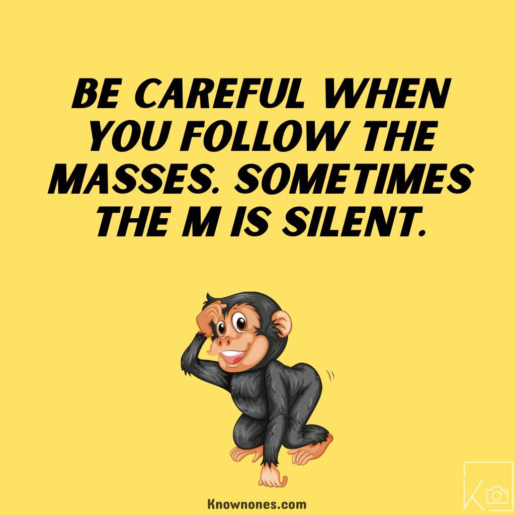 Funny Quotes - monkey image