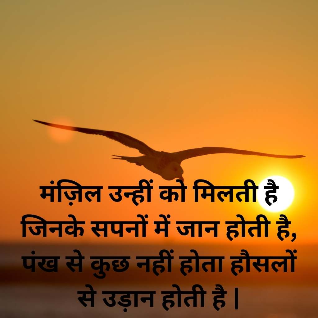 Shayari - Prerna - motivation - bird flying with open wings